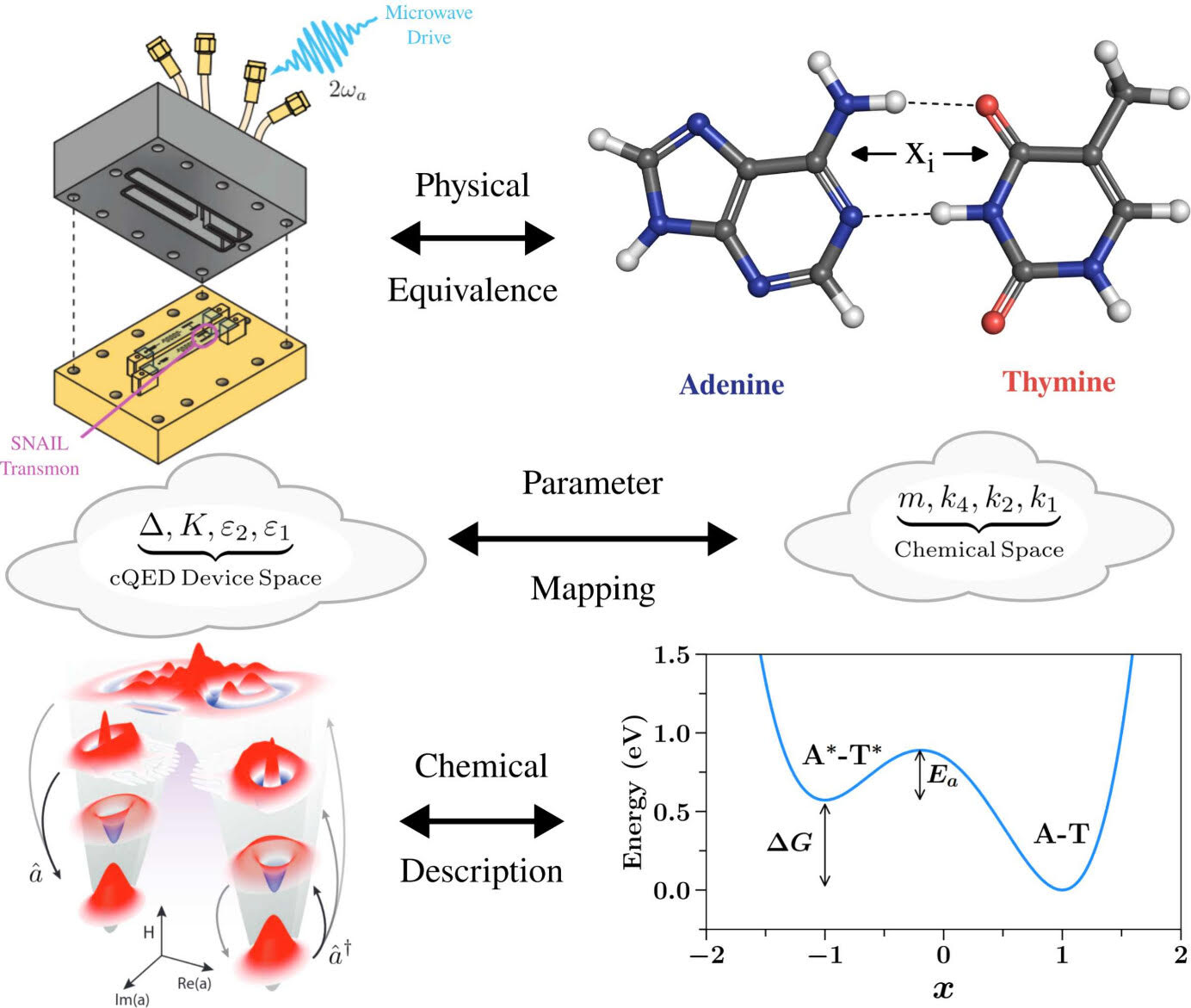 Conceptual diagram showing how a superconducting circuit quantum electrodynamics device can physically emulate proton-transfer chemistry in an adenine–thymine DNA base pair. At upper left, an exploded schematic of a microwave-driven SNAIL transmon circuit is labeled with a microwave drive at 2ωa. A double-headed arrow labeled “Physical Equivalence” connects it to a molecular structure of adenine hydrogen-bonded to thymine, with the proton-transfer coordinate xi marked between the bases. In the middle, cloud labels compare “cQED Device Space” parameters Δ,K,ε2,ε1 with “Chemical Space” parameters m,k4,k2,k1, connected by a double-headed arrow labeled “Parameter Mapping.” At bottom left, a phase-space-style visualization of a driven quantum system with red quasiprobability peaks is connected by a double-headed arrow labeled “Chemical Description” to a bottom-right energy landscape plot. The plot shows energy versus reaction coordinate x, with minima labeled A∗−T∗ and A−T, and arrows indicating the reaction free-energy difference ΔG and activation energy Ea.